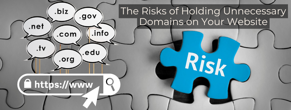 The Risks of Holding Unnecessary Domains on Your Website