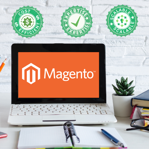 Why Work with a Magento Development Company